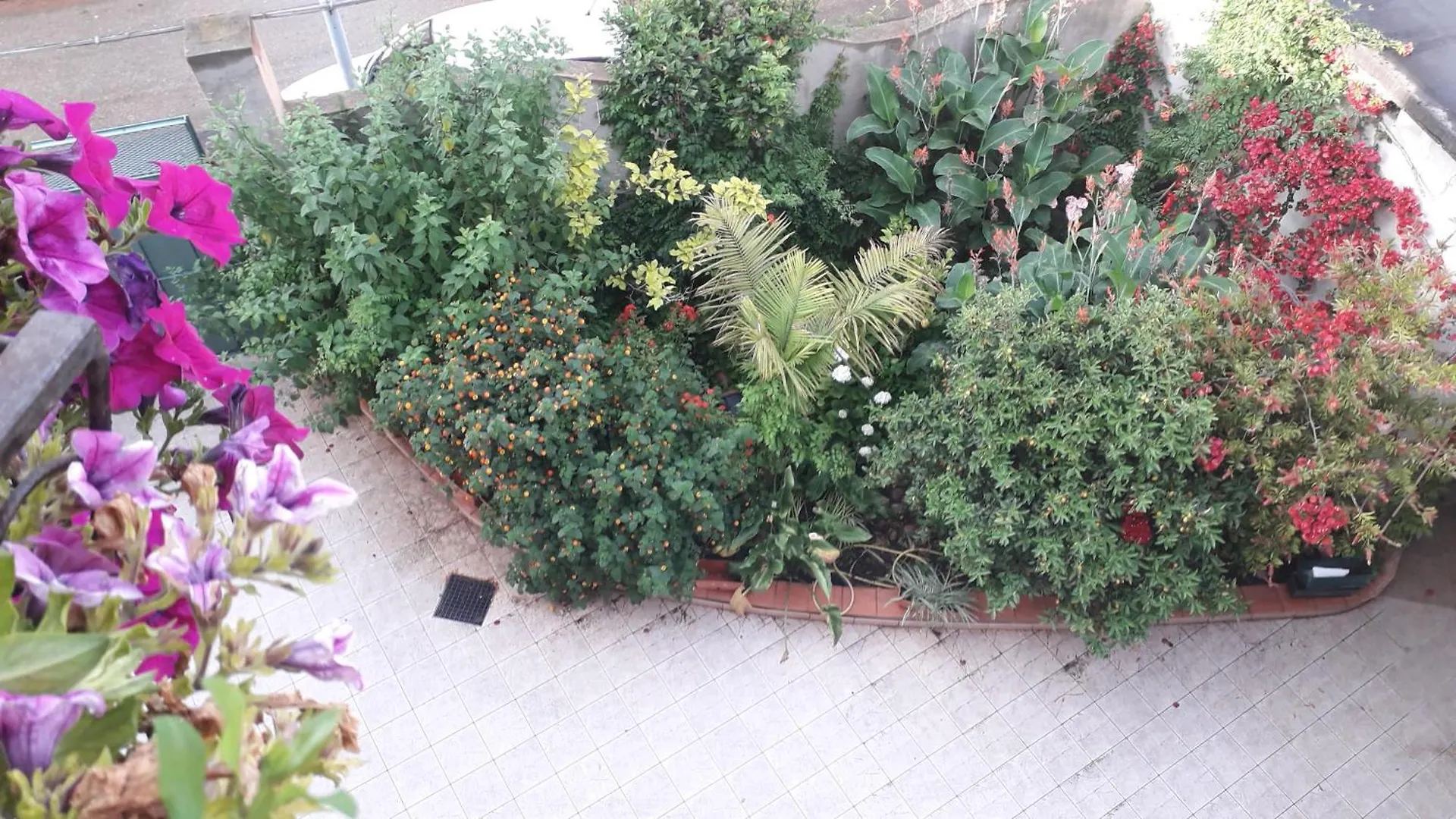 Bed & Breakfast Bed And Breakfast Le Petunie Bari Sardo